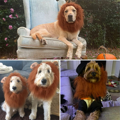 Realistic Dark Brown Lion Mane Wig for Medium to Large Dogs - Perfect Halloween Costume Accessory!