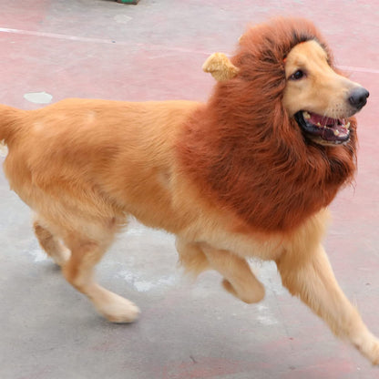 Realistic Dark Brown Lion Mane Wig for Medium to Large Dogs - Perfect Halloween Costume Accessory!