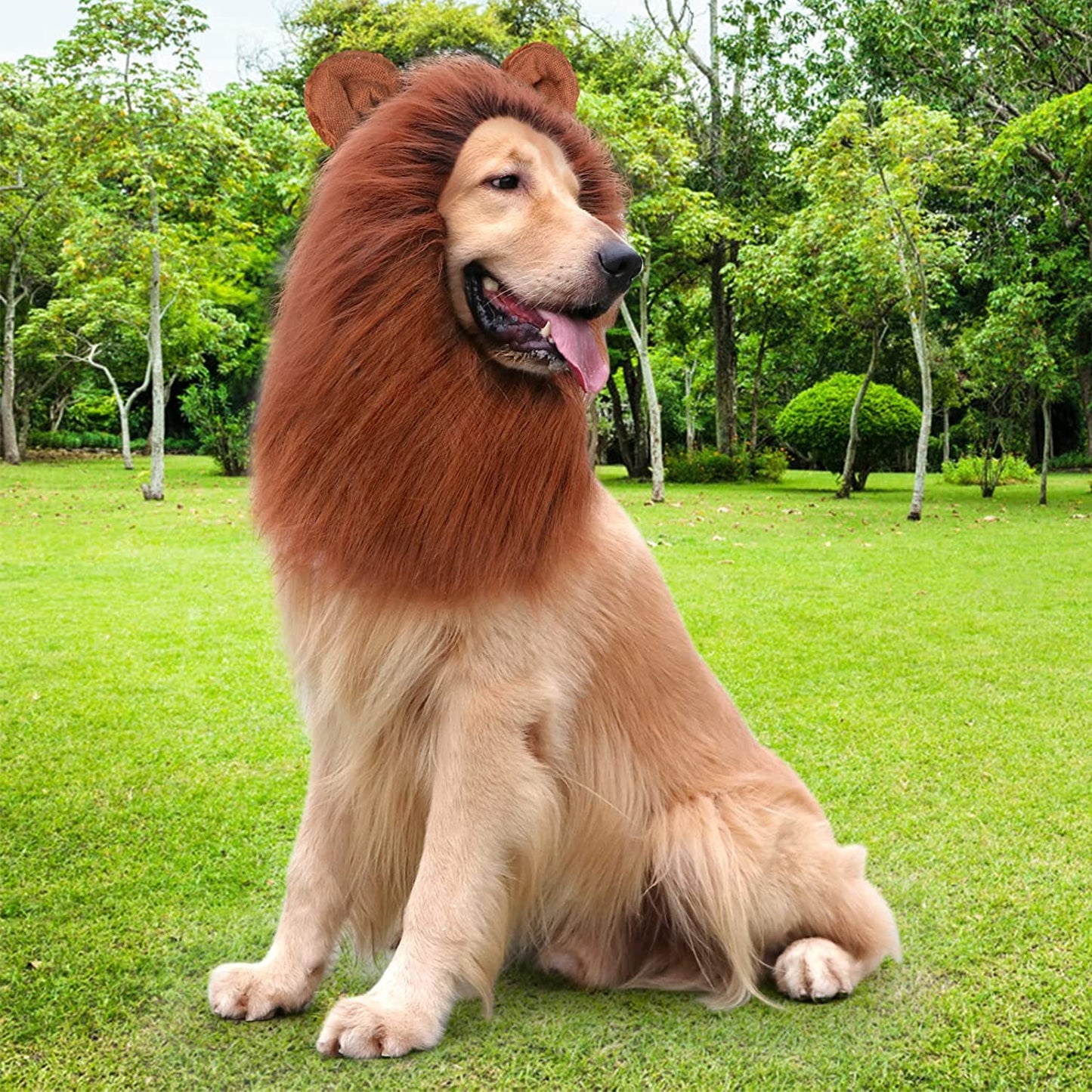 Realistic Dark Brown Lion Mane Wig for Medium to Large Dogs - Perfect Halloween Costume Accessory!