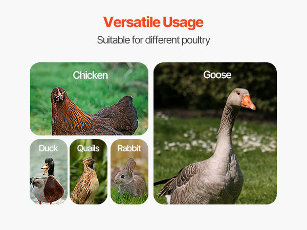 Large Metal Outdoor Enclosure with Roof Cover & Security Lock for Chickens, Ducks & Rabbits