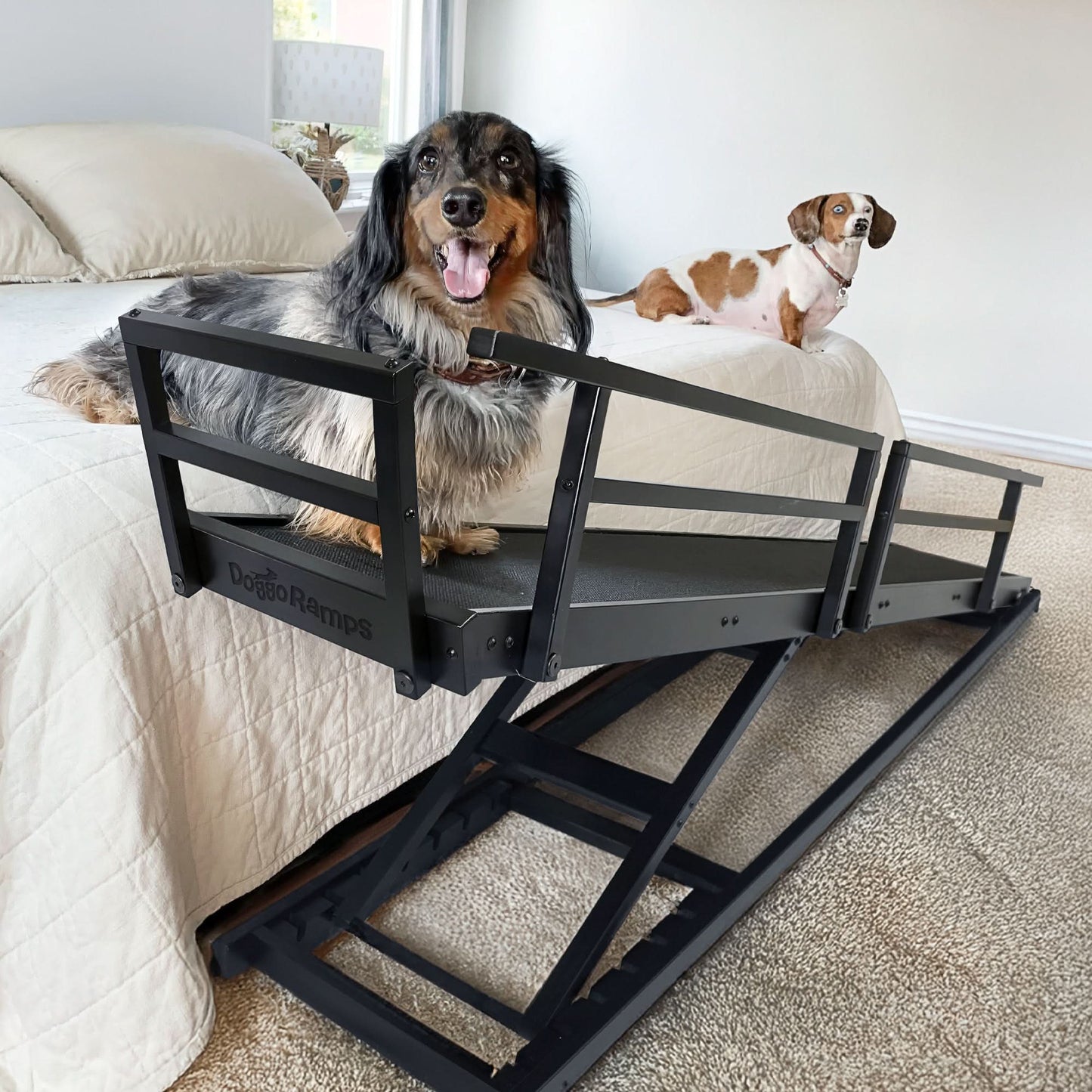 Elevated Comfort: Small Dog Ramp for Easy Bed Access